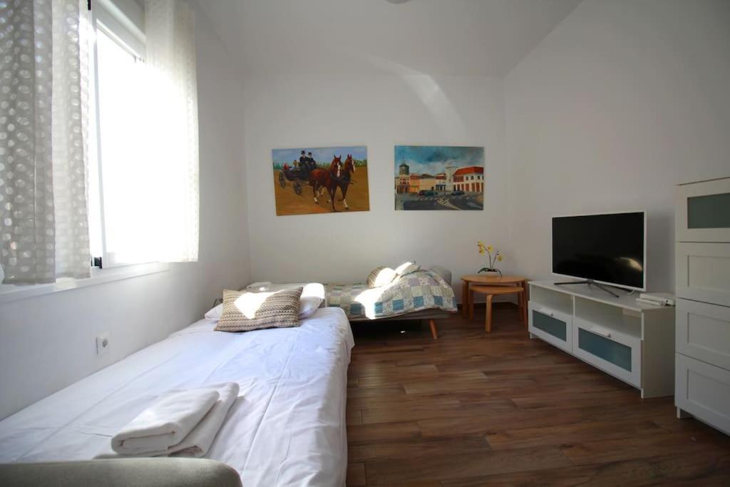 Sevilla Centro - Carrion Mejias Екстер'єр фото
